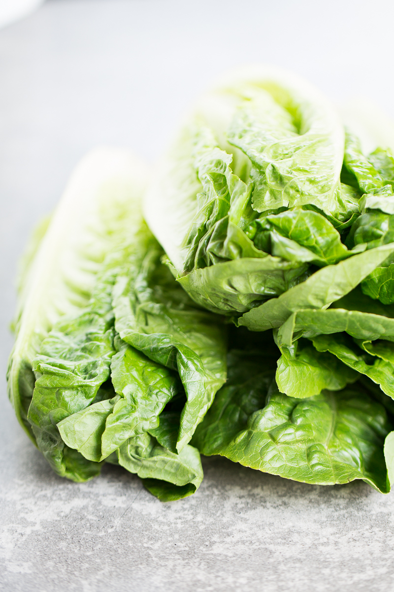 Romaine lettuce seen from the front on a gray base.