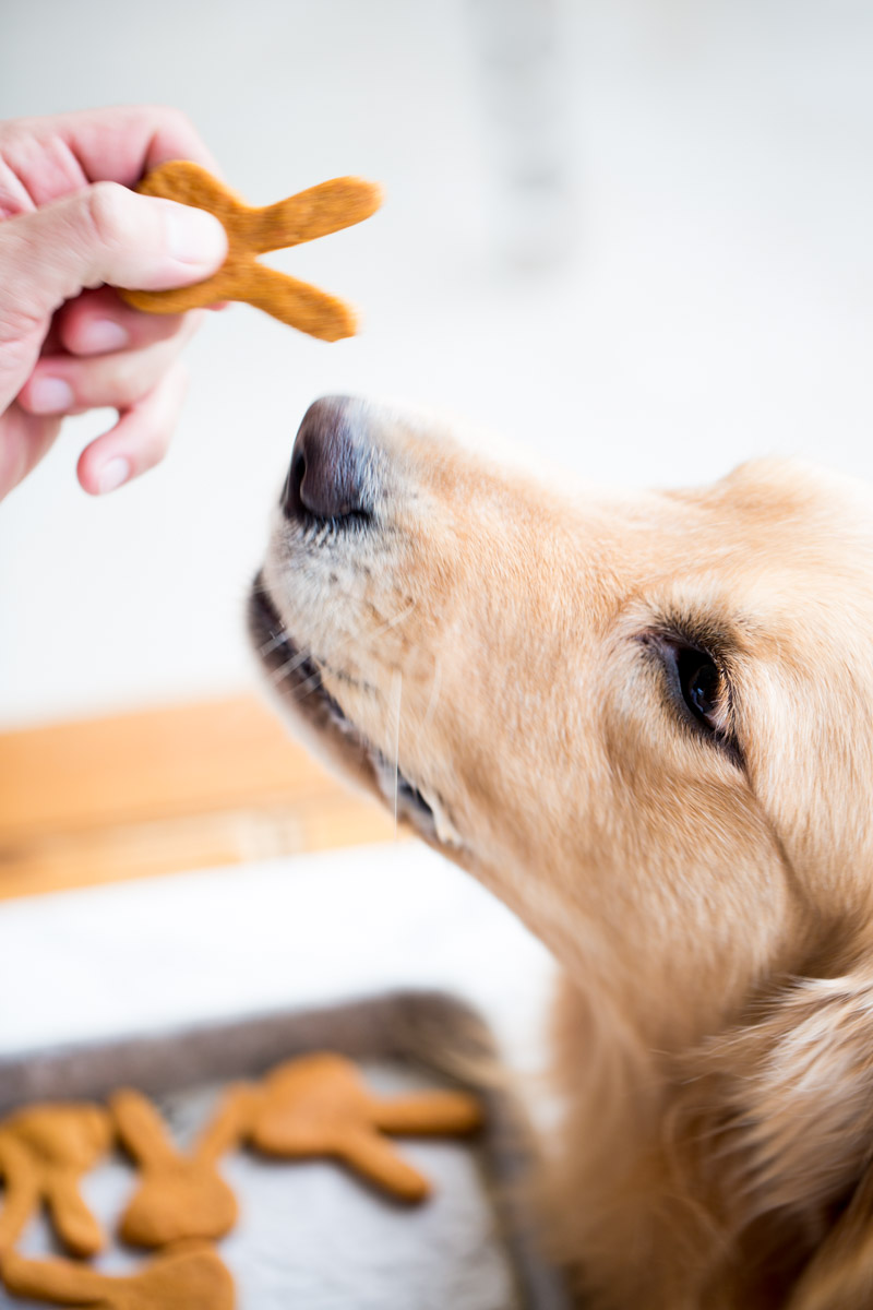 3 ingredient Dog treats