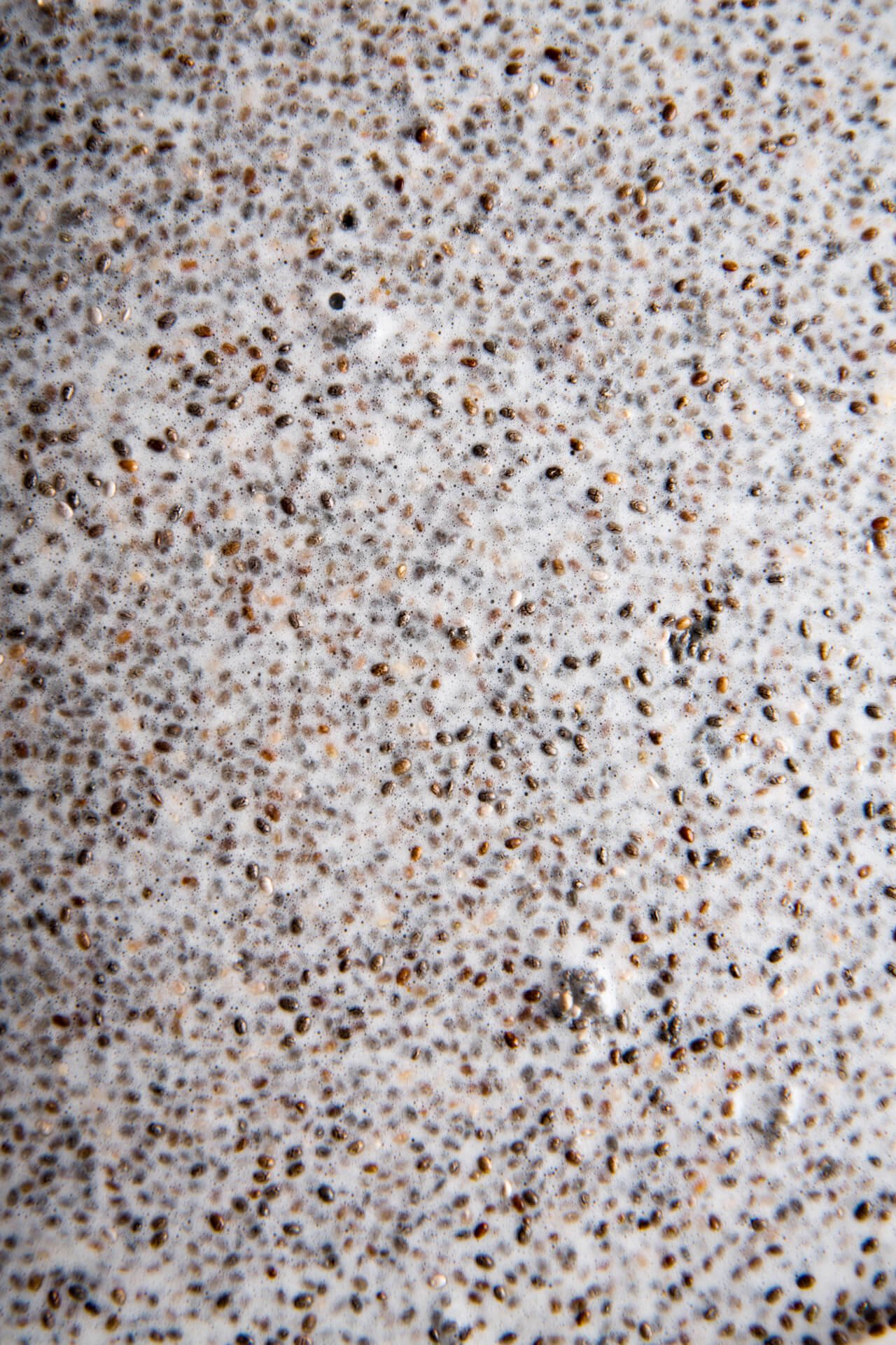 closeup of chia seeds soaking