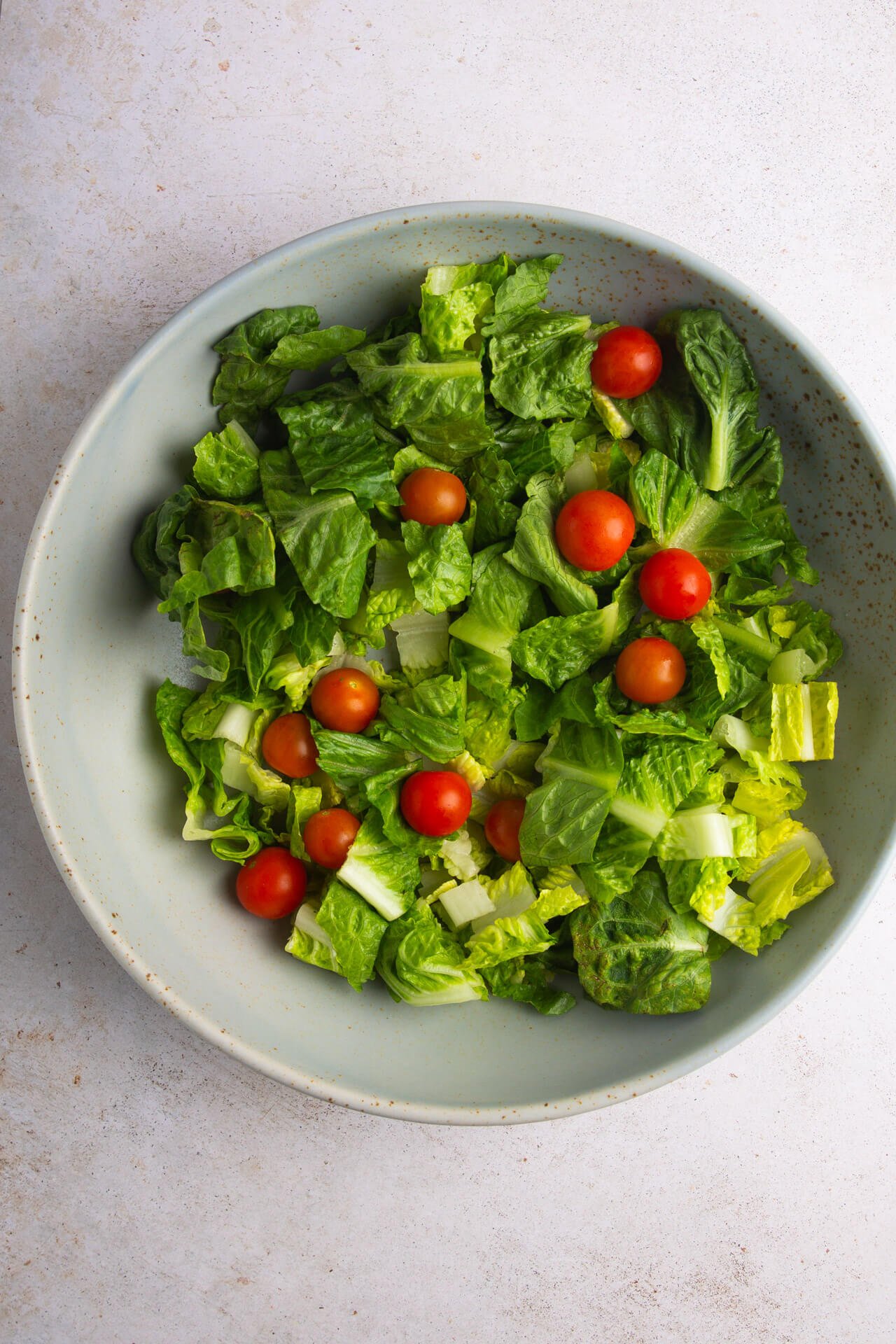 Romaine lettuce with tomatoes