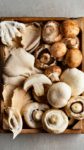 What is the best way to prepare mushrooms?