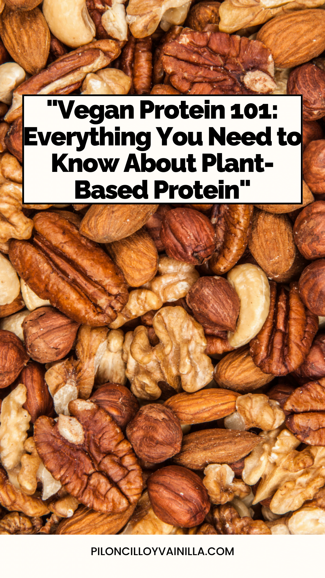 Best Vegan Sources and Recipes for Plant-Based Protein