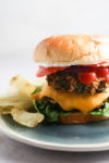 The best southwest veggie burger