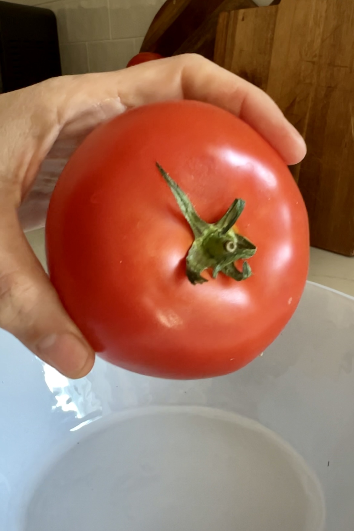 Una mano sosteniendo un tomate rojo grande y maduro con un tallo verde sobre un recipiente blanco. El fondo incluye una estructura de madera, posiblemente una mesa o mostrador, y una pared de azulejos. El tomate parece fresco y vibrante, perfecto para preparar Pan Con Tomate.